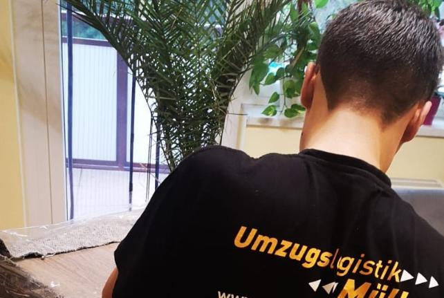 Laborumzug Kreischa stressfrei umziehen 